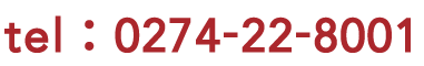 tel : 048-527-6911